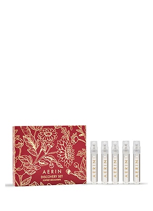 AERIN Holiday Discovery