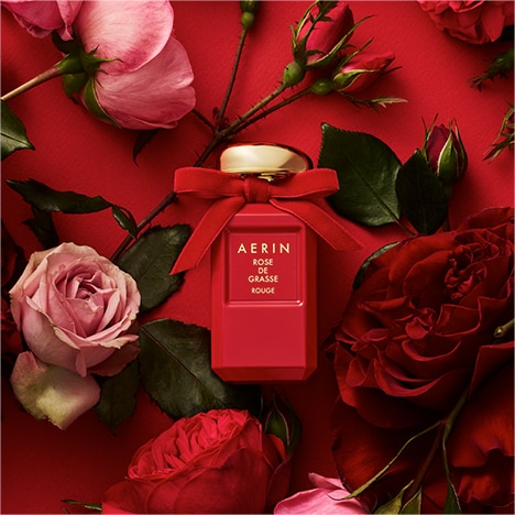 New Rose de Grasse Rouge